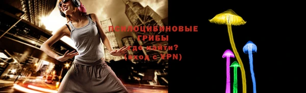 не бодяженный Бородино