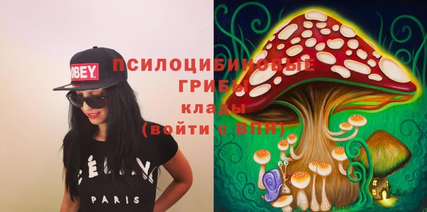 не бодяженный Бородино