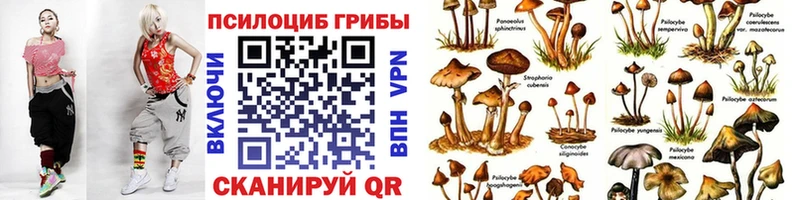 Галлюциногенные грибы MAGIC MUSHROOMS  Сосногорск 